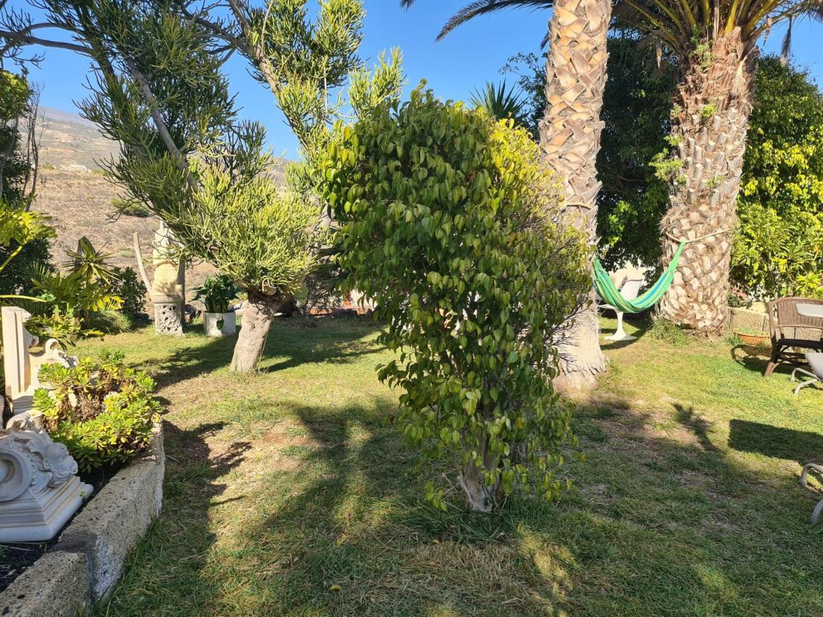 Finca Tropical Arico Viejo Exterior photo