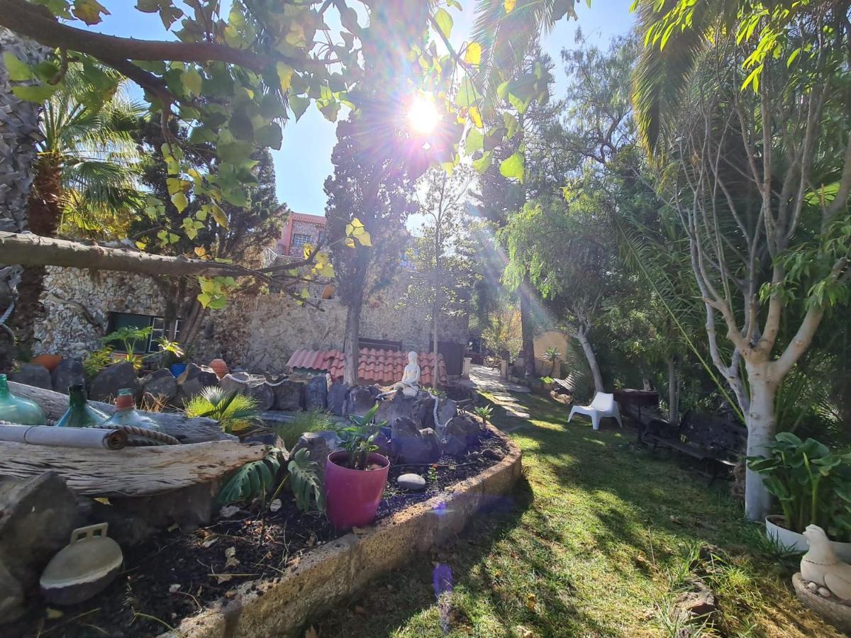 Finca Tropical Arico Viejo Exterior photo