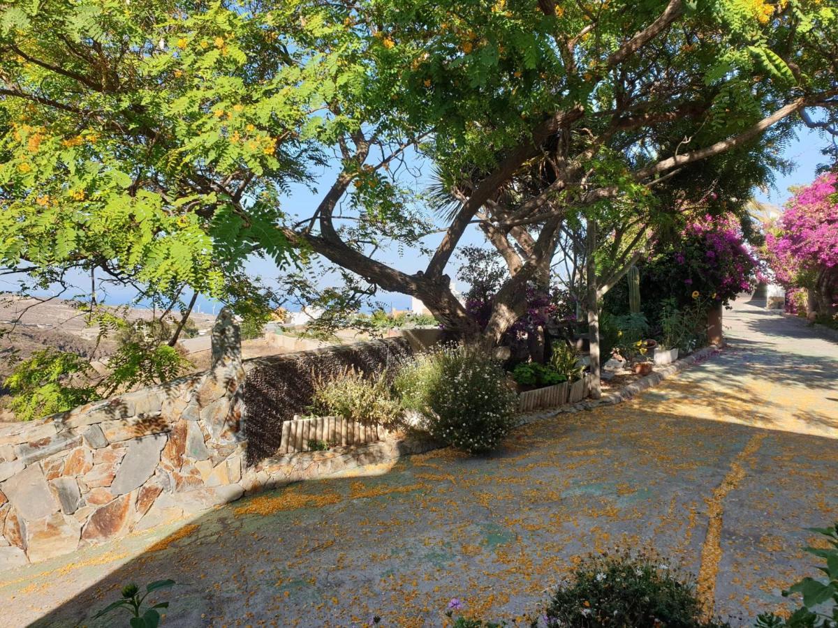 Finca Tropical Arico Viejo Exterior photo